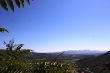 IMG_7925.JPG