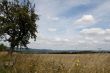 IMG_7175.JPG