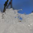IMG_9092_1.JPG