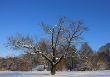 IMG_9141_1.jpg