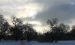 IMG_9074_1.JPG