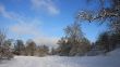 IMG_9098_1.jpg