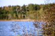 IMG_8543_1.jpg