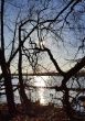20150226_155733_1.jpg