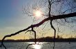 20150226_160406_1.jpg
