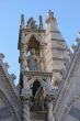 IMG_2804.JPG