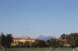 IMG_2756.JPG