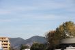 IMG_3071.JPG