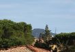 IMG_3080_1.JPG