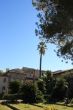 IMG_3251.JPG